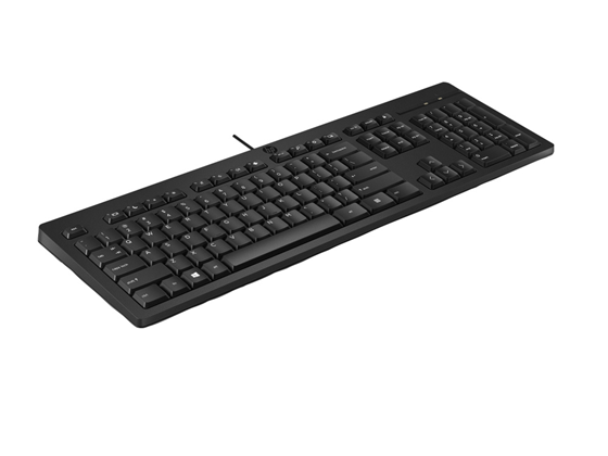 Teclado HP 125 Cableado USB Español Portátil