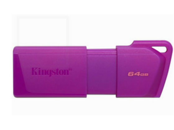 Memoria USB Kingston DataTraveler Exodia 64GB USB 3.2 Gen 1 Morado Neon