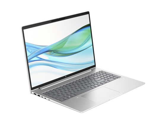 Laptop HP ProBook 465 G11 16" WUXGA, Ryzen 5 7535U, 16GB DDR5, 256GB SSD